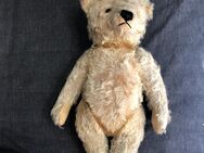 Original 1950er Jahre Steiff Teddybär ca 30 cm - Köln