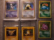 Pokemon TCG Bisaflor, Nidoking Raichu etc - Berlin