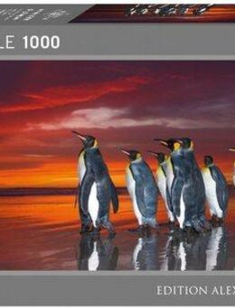 HEYE Puzzle King Penguins, Edition Humboldt, 1000 Puzzleteile, Made in Europe