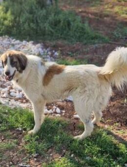 Gisele Zizel - bildschön und freundlich - Mettmann