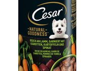 Cesar Natural Goodness - Lamm (6 x 400 g)