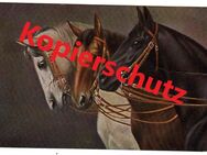Historische Ansichtskarte / Künstlerkarte „Dreigespann“, gelaufen 1917 - Landsberg