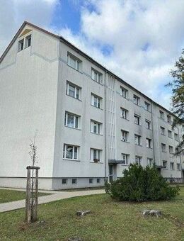 +++ Schöne 2 Raumwohnung in Weißenfels West +++ - Weißenfels