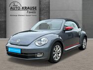 VW Beetle, 1.2 TSI Cabriolet, Jahr 2016 - Billerbeck