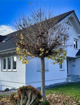 TOP-Wohnhaus äußerst ruhig gelegen in Ortsrandlage in Mühlheim a.D. - Mühlheim (Donau)