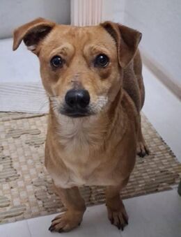 großes Herz für kleinen Jin - Augsburg