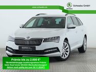 Skoda Superb, 1.5 TSI Combi Ambition, Jahr 2024 - Gersthofen