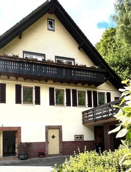 Zweifamilienhaus renoviert/saniert-1,73 ha Grund, Alleinlage, PV-Anlage, Quelle, am Wildbach - Bad Rippoldsau-Schapbach