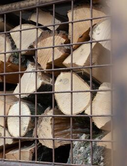 Brennholz, trocken zu verkaufen m³ 65 Euro - Schechen