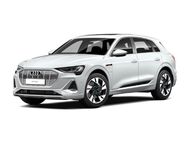 Audi e-tron, 55 quattro S line Connect, Jahr 2021 - Binzen