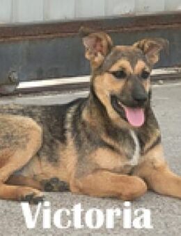 Victoria auf der Suche nach ihrem Platz - Berlin