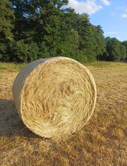 Heuballen günstig abzugeben - 1. Schnitt 2025 - Hammelburg