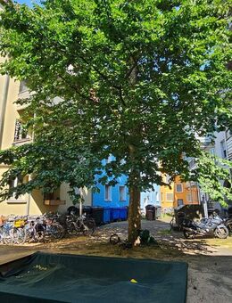 2,5 ZimmerWhg ohne Balkon - Würzburg