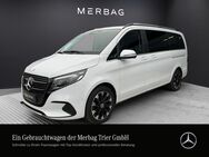 Mercedes V 300, LANG AVANTGARDE DISTRO TÜREN, Jahr 2024 - Trier