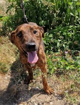 MERLIN ❤ EILIG! - Langenhagen