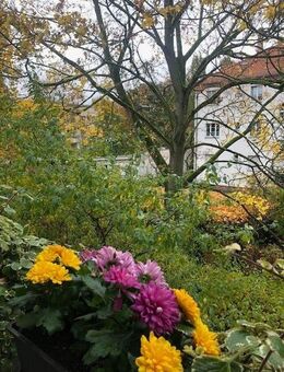 GEPFLEGTE ALTBAUWOHNUNG MIT SONNENBALKON! - Berlin