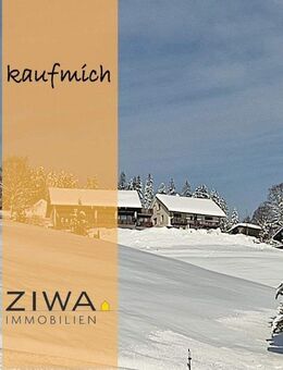 Charmantes Einfamilienhaus mit unverbautem Panoramablick (Haus 2 von 2 in WEG) - ideal zum Wohnen, Vermieten oder a... - Todtnau