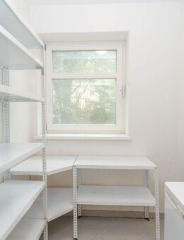 Außergewöhnlicher Schnitt in toller Lage! - Stade (Hansestadt)