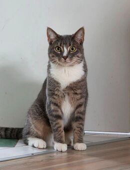 Minnie sucht neues Zuhause - Högel