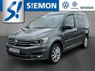 VW Caddy, 2.0 TDI Highline, Jahr 2016 - Salzbergen