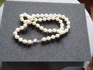 Perlenkette weiß 86 cm - Kolkwitz