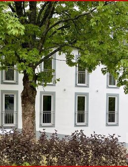 MFH mit 6 neuen Ferienwohnungen inkl. stilvollem Mobiliar - Attraktive Investitionsmöglichkeit - Willingen (Upland)