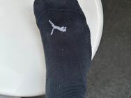 Extrem stinkige Socken zu verkaufen - Ludwigshafen (Rhein)