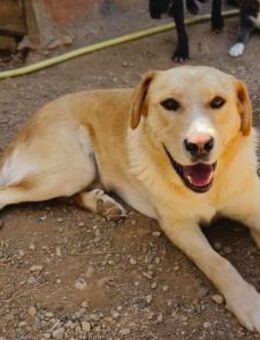 Dante3; Freundlichkeit hat einen Namen - Geilenkirchen