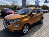 Ford EcoSport 1.0i EcoBoost TITANIUM - Neumünster