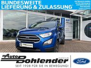 Ford EcoSport, , Jahr 2020 - Kandel