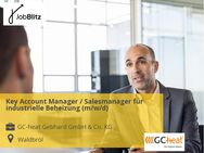 Key Account Manager / Salesmanager für industrielle Beheizung (m/w/d) - Waldbröl