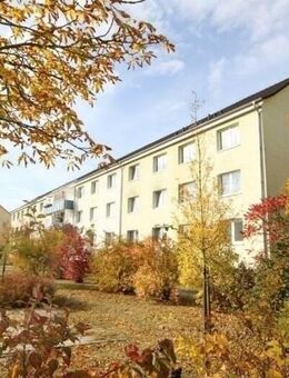 Schöne Wohnung in der Südstadt - Neubrandenburg