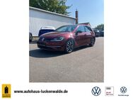 VW Golf, 1.5 TSI VII IQ DRIVE, Jahr 2019 - Luckenwalde