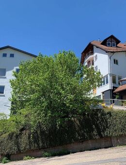 Exklusives Wohnvergnügen: Moderne Eleganz mit Terrasse und traumhafter Aussicht - Bad Wildbad