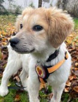 Loui ein kleiner Herzensbrecher - München