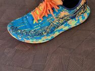 Asics noosa tritt 44 - Serrig