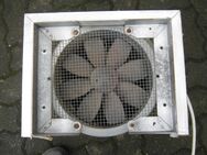 Maico Axiallüfter, Rohr Ventilator - Neunkirchen-Seelscheid