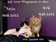 Eva und Felix ein Traumduo - Berlin