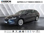 Skoda Octavia, 1.0 TSI Style, Jahr 2021 - Berlin