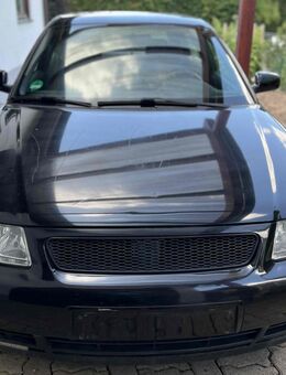 Audi A3/S3 1.8T - Ein Audi mit Geschichte und Charakter - Kirchheim (Teck)