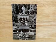 Ansichtskarte-AK-862--Schloß Linderhof. Terrasse. - Nörvenich