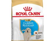 Sparpaket Royal Canin - Golden Retriever Puppy (2 x 12 kg)