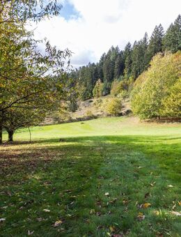 "Hofgut" in Baden-Baden, ideal auch zur Pferdehaltung / Tierhaltung aller Art! - Baden-Baden