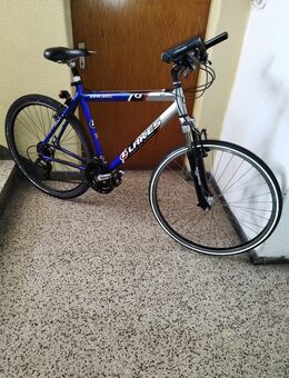 Alles CTR250 21 Gang 28 Zoll - Bochum