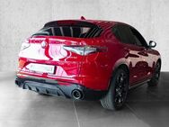 Alfa Romeo Stelvio Competizione Q4 Allrad Navi Leder - Aachen