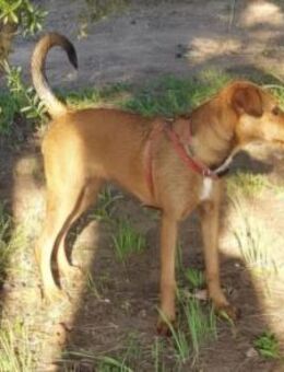 Manila wartet schon so lange - Berlin