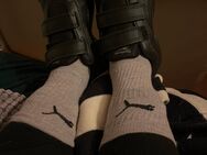 Für Schnüffelfans Sportsocken getragen - Leichlingen (Rheinland, Blütenstadt) Zentrum