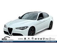 Alfa Romeo Giulia, 2.0 Tributo Italiano Q4 EU6e MY24-TRIBUTO ITALIANO Turbo 16V 206kW, Jahr 2024 - Oberursel (Taunus)