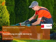 Teamleitung (m/w/d) Gärtnerei - Regensburg