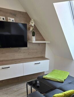 Geräumiges 1-Zimmer-Apartment, neu und voll ausgestattet in toller Lage Obernburg - Obernburg (Main)